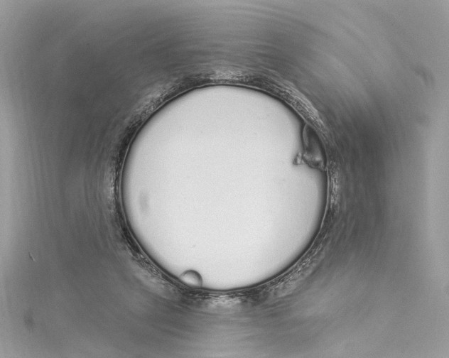 X0000114490257200911161218