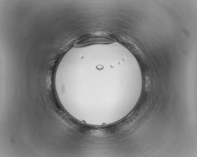 X0000114490259200911161219