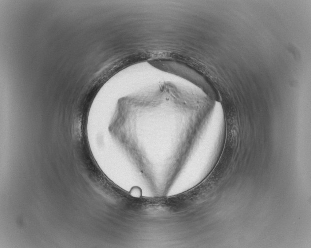 X0000114490262200911161219