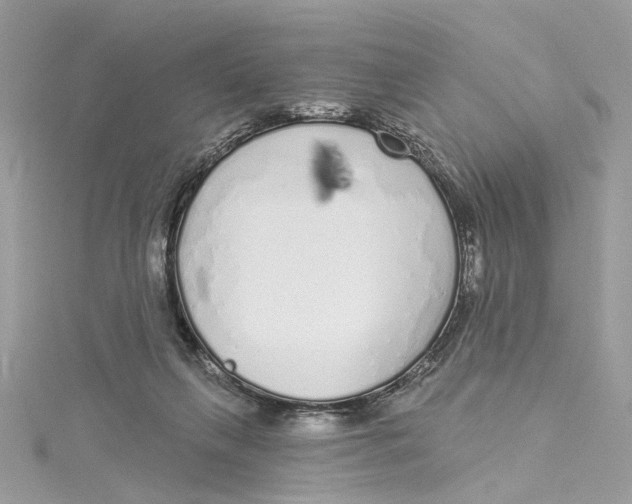 X0000114490263200911161219