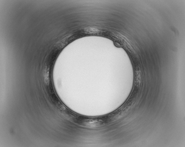 X0000114490267200911161219