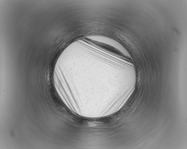 X0000114490268200911161219