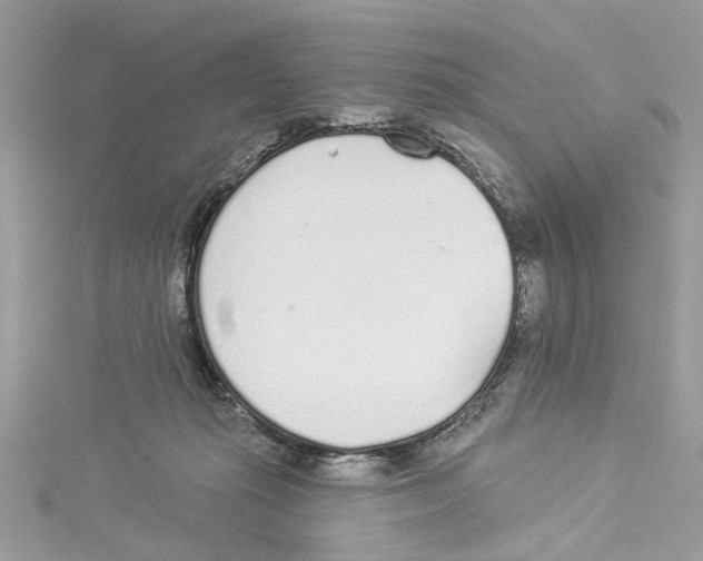 X0000114490269200911161219