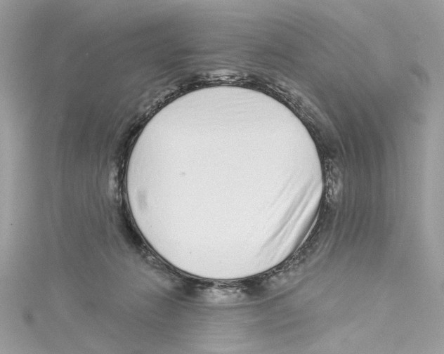 X0000114490270200911161219