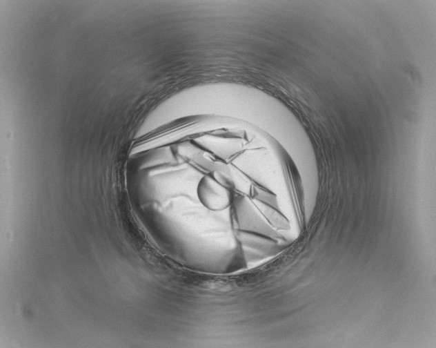 X0000114490272200911161219