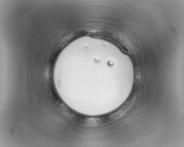 X0000114490277200911161219