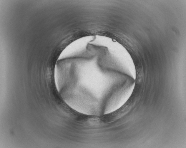 X0000114490279200911161219