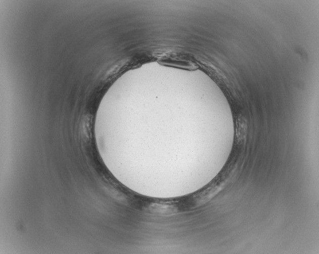 X0000114490280200911161219