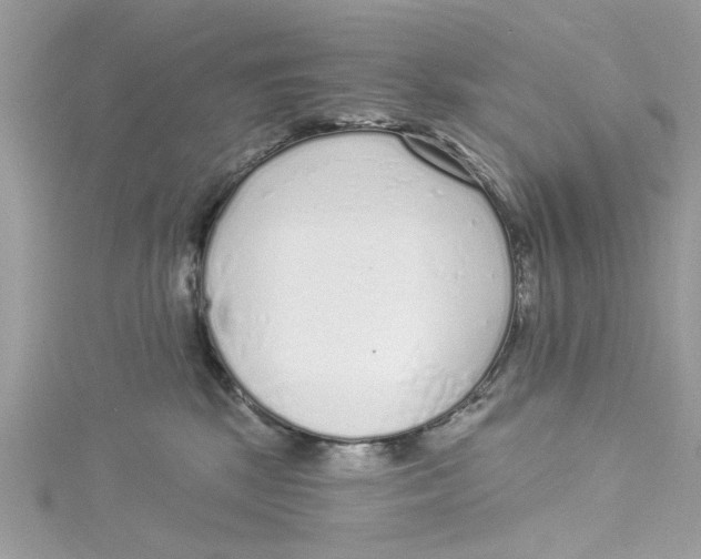 X0000114490281200911161219