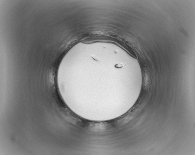 X0000114490282200911161219