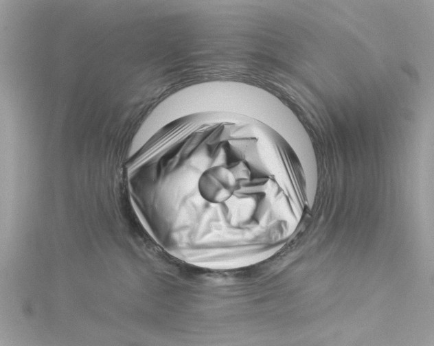 X0000114490284200911161219