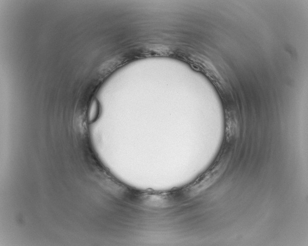 X0000114490285200911161219