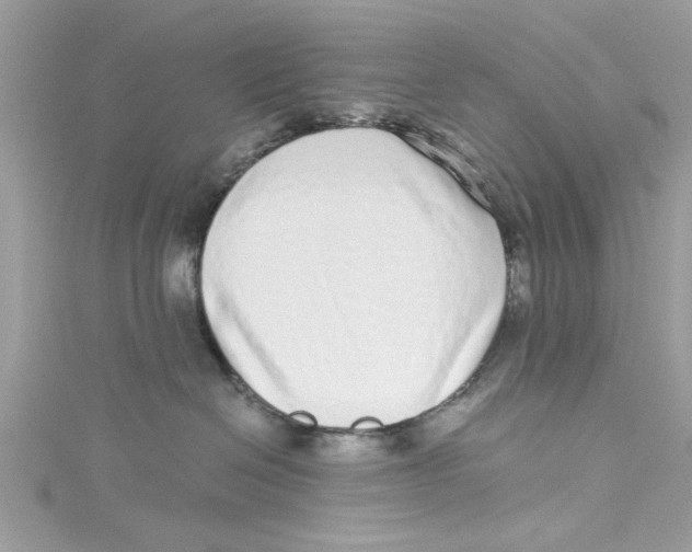 X0000114490286200911161219