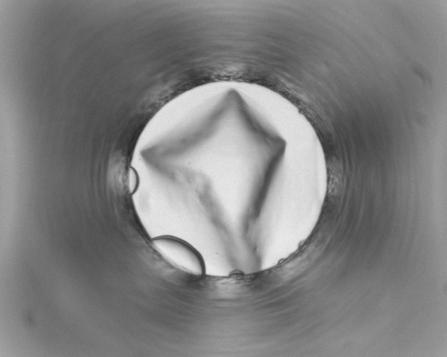 X0000114490287200911161219