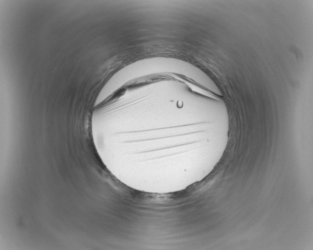 X0000114490288200911161219