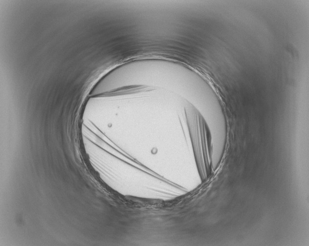 X0000114490289200911161218