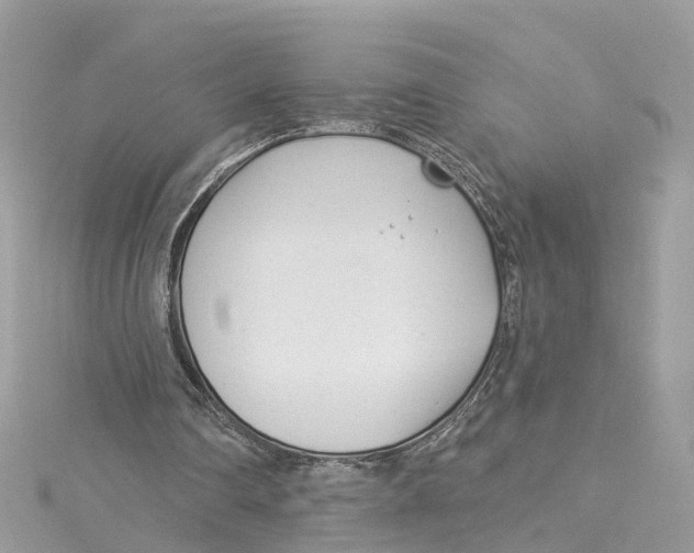 X0000114490290200911161218