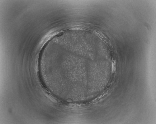 X0000114490291200911161218