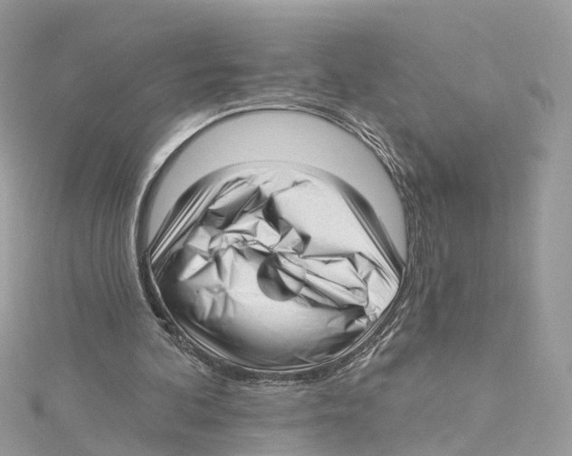 X0000114490292200911161218