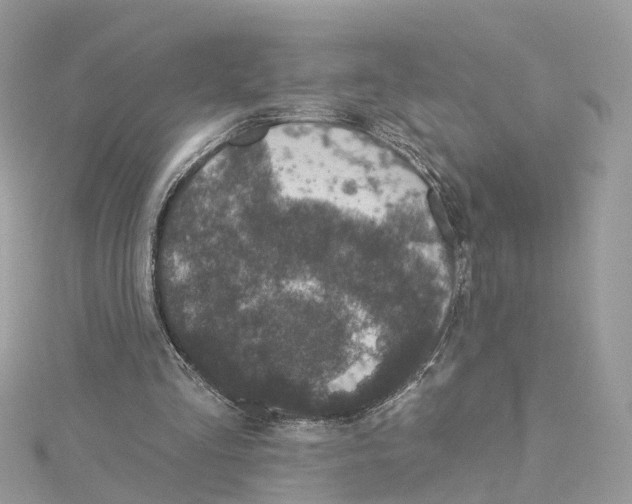 X0000114490293200911161218