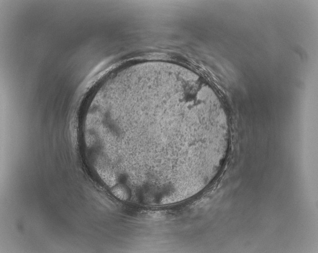 X0000114490295200911161218