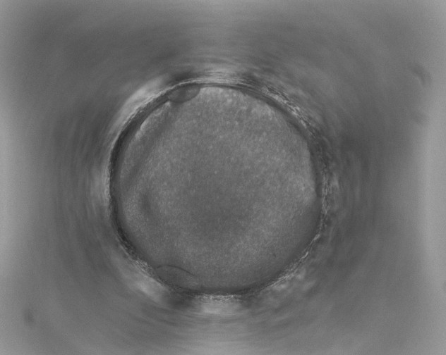 X0000114490296200911161218