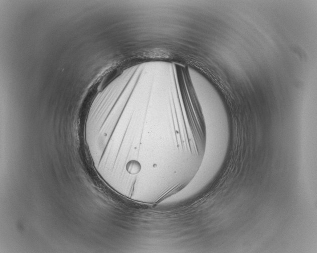 X0000114490300200911161218