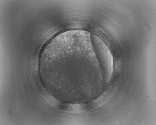 X0000114490301200911161218