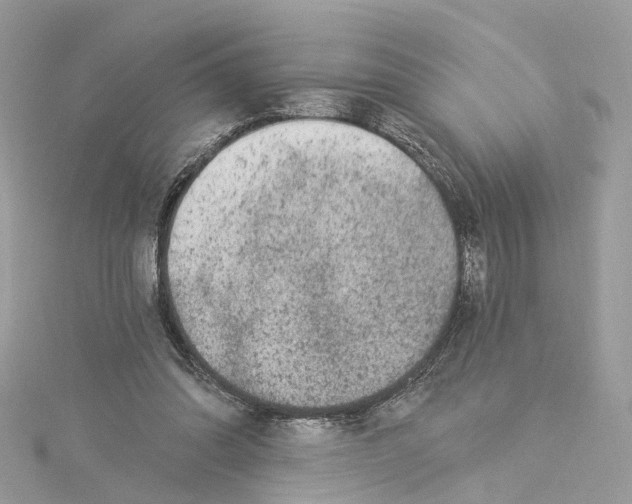 X0000114490302200911161218