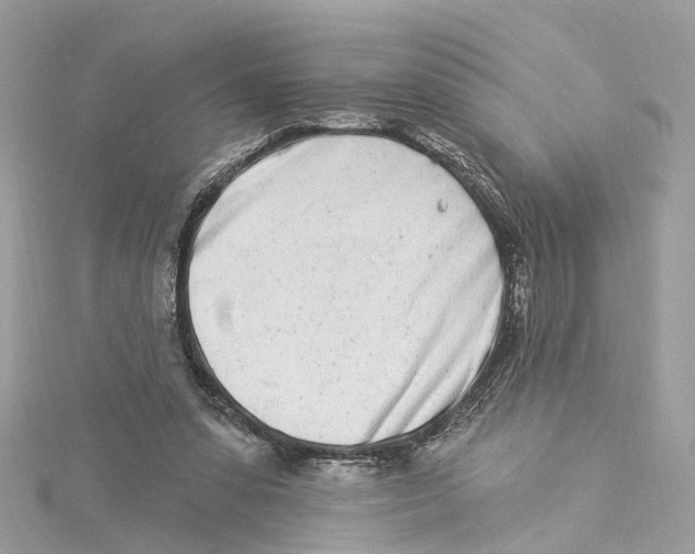 X0000114490303200911161218