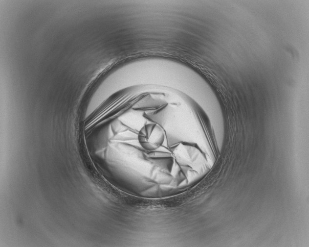 X0000114490304200911161218