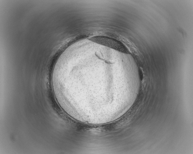 X0000114490306200911161218