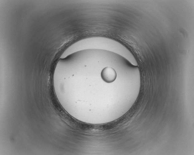 X0000114490308200911161218