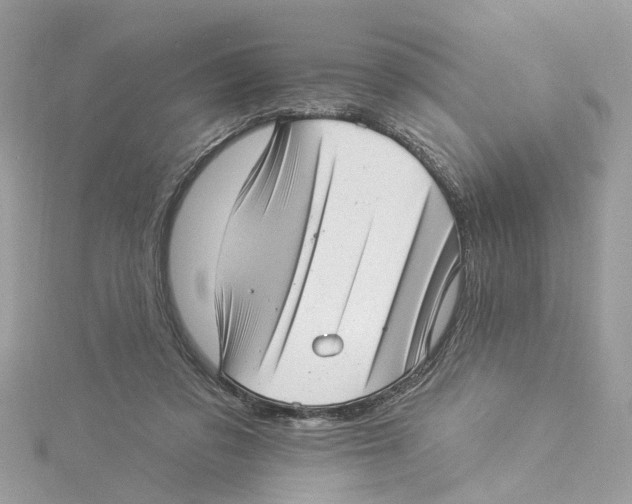 X0000114490309200911161218