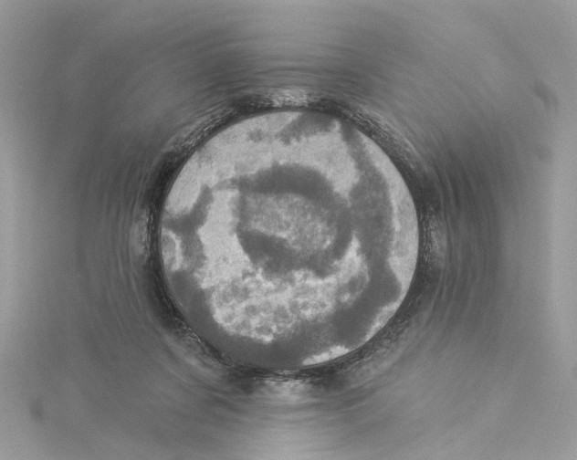 X0000114490311200911161218