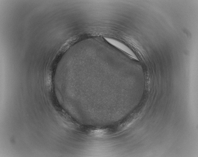 X0000114490312200911161218