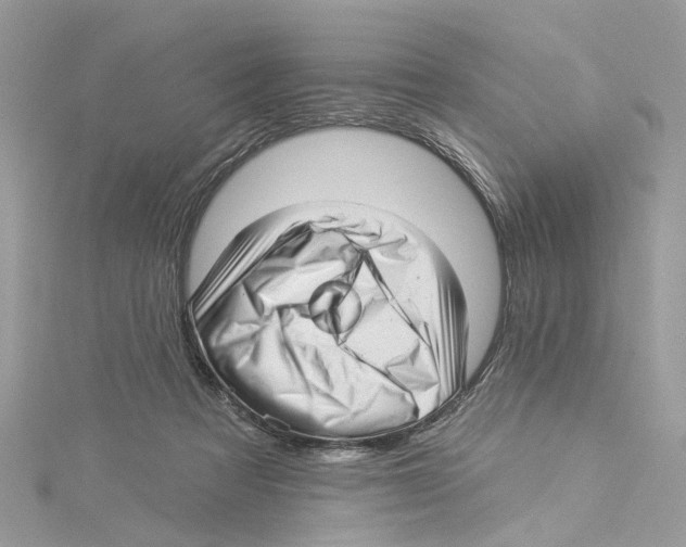 X0000114490313200911161218