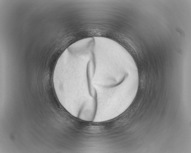 X0000114490314200911161218