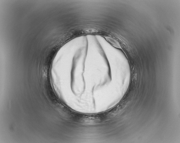 X0000114490315200911161218