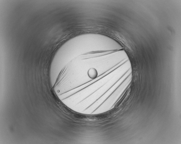 X0000114490317200911161218