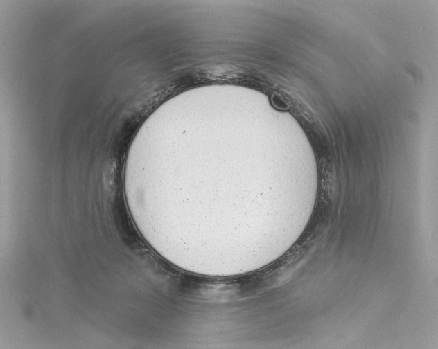 X0000114490319200911161218