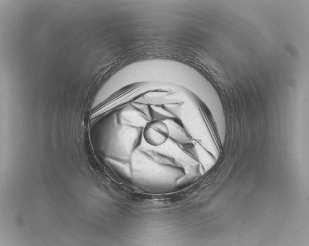 X0000114490320200911161218