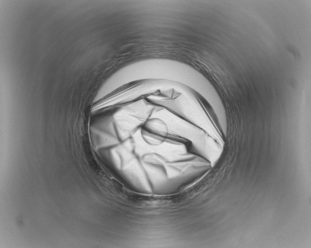 X0000114490323200911161218