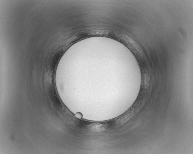 X0000114490326200911161218