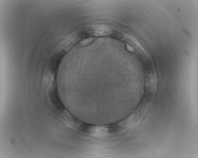 X0000114490327200911161218