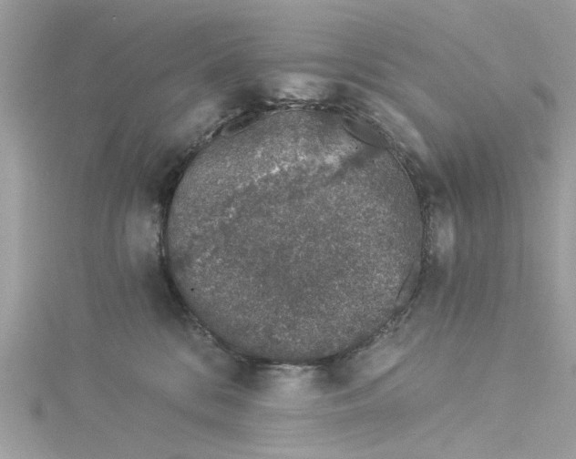 X0000114490328200911161218