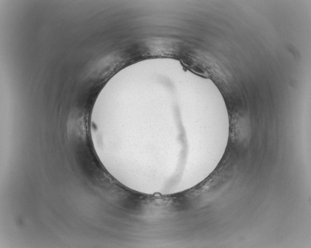 X0000114490329200911161218