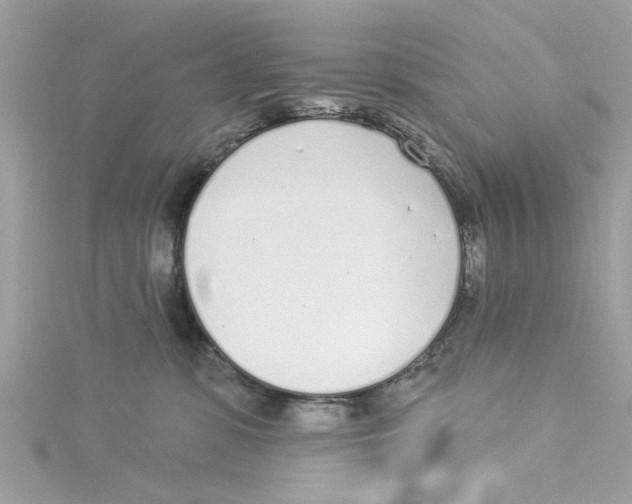 X0000114490331200911161218