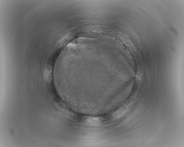 X0000114490332200911161218