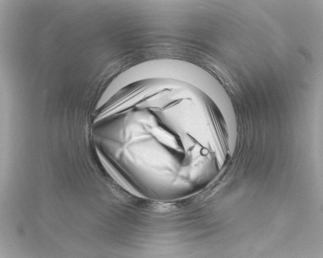 X0000114490333200911161218